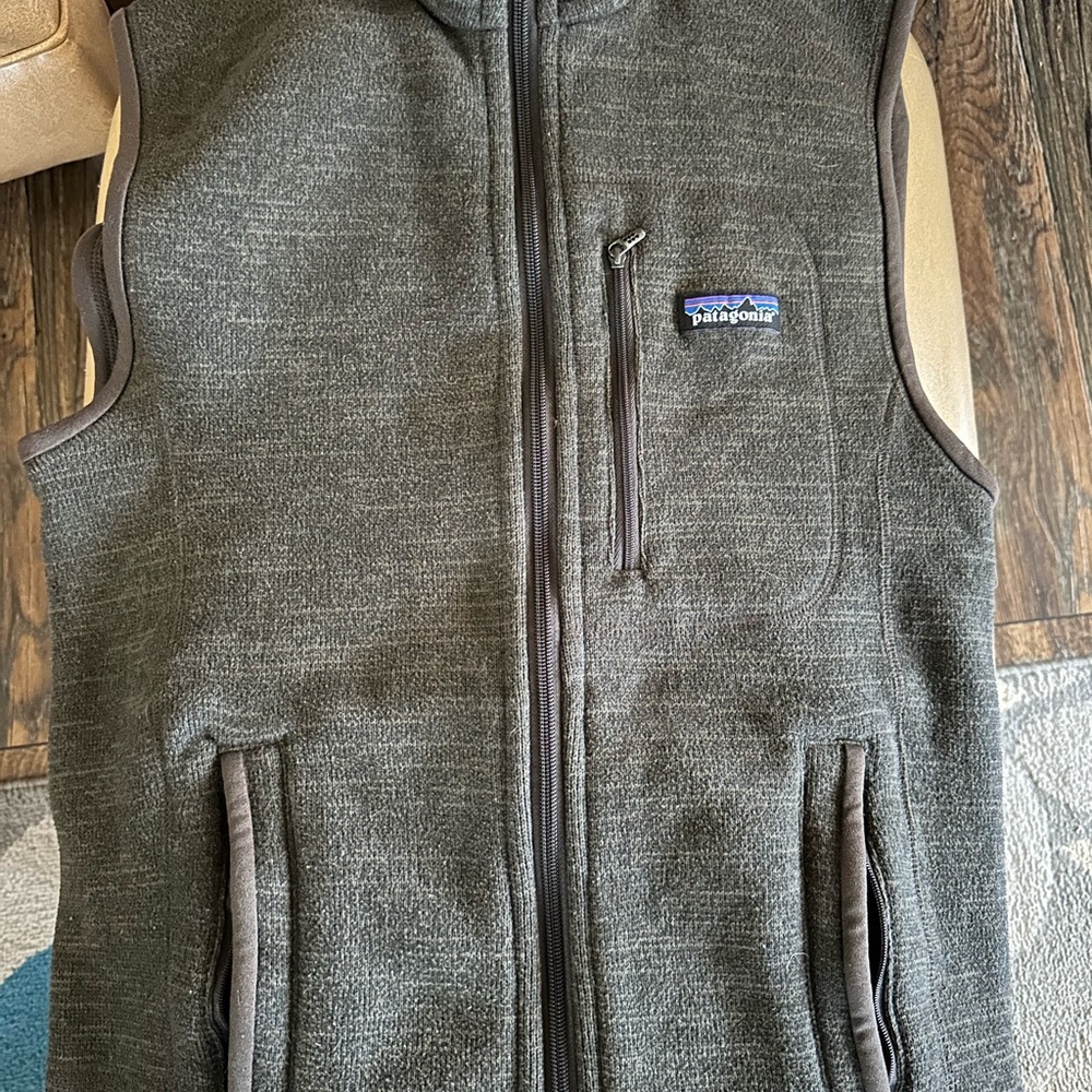 Patagonia Gray Fleece Vest
